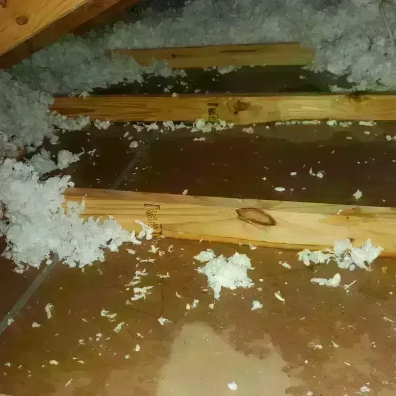 Attic Water Damage in Universal City, CA