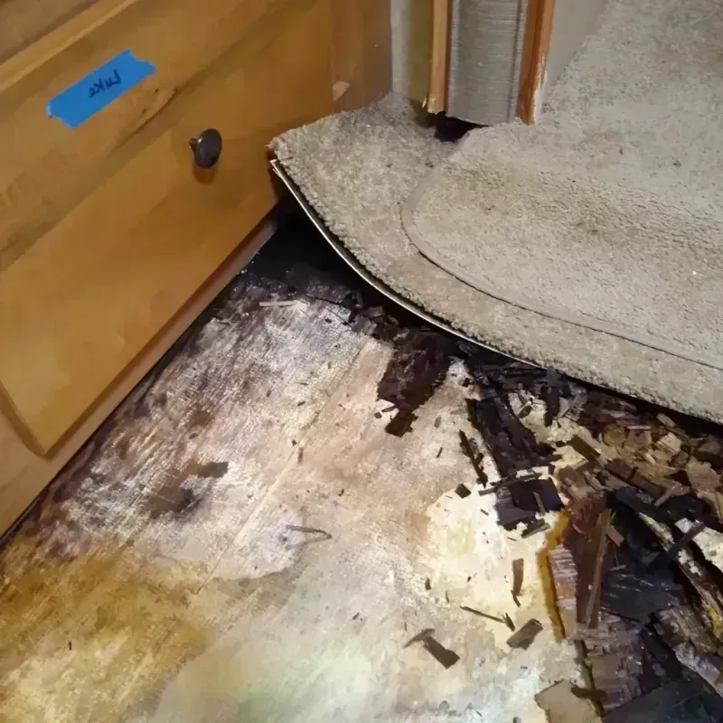 Wood Floor Water Damage in Universal City, CA